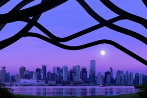 世界网球城市混合赛：社区内外联赛促进人才互通，世界网球团体赛名称